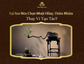 Tại Sao Nên Chọn Muội Hồng Thiên Nhiên Thay Vì Tạo Tác?