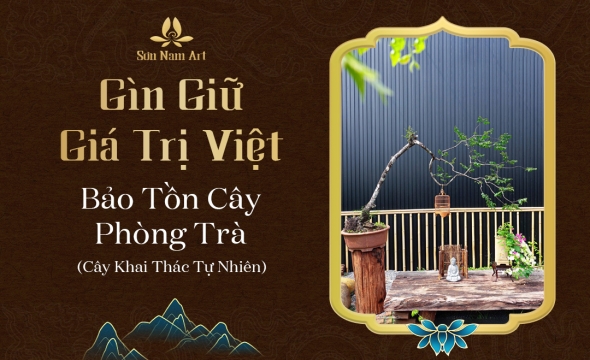 Gìn Giữ Giá Trị Việt, Bảo Tồn Cây Phòng Trà, Cây Khai Thác Tự Nhiên