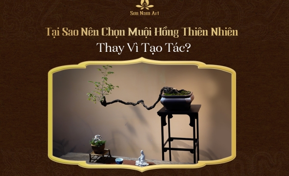 Tại Sao Nên Chọn Muội Hồng Thiên Nhiên Thay Vì Tạo Tác?