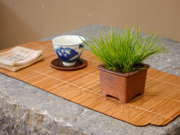 Cỏ Thạch Xương Bồ