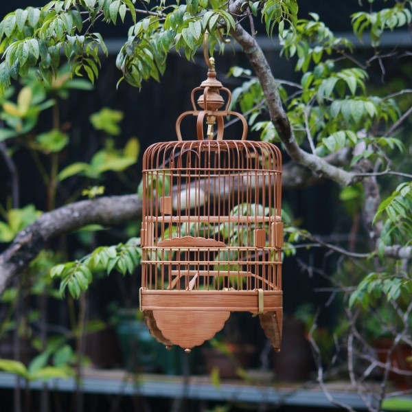 Lồng chim decor thủ công