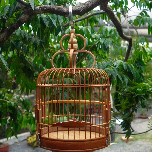 Lồng chim decor thủ công