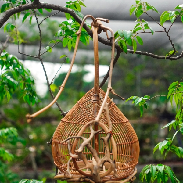 Lồng chim decor thủ công