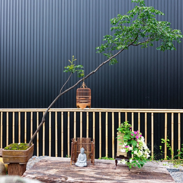 Muội Hồng - Cây Cảnh Độc Đáo, Tôn Vinh Không Gian Sống
