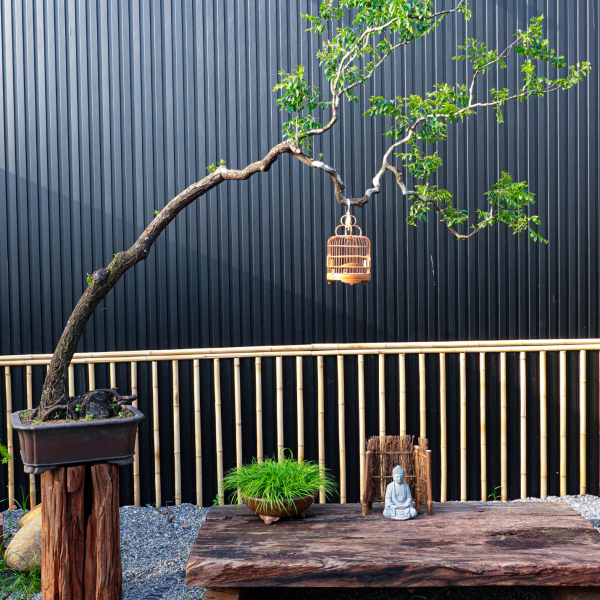 Muội Hồng - Cây Cảnh Độc Đáo, Tôn Vinh Không Gian Sống