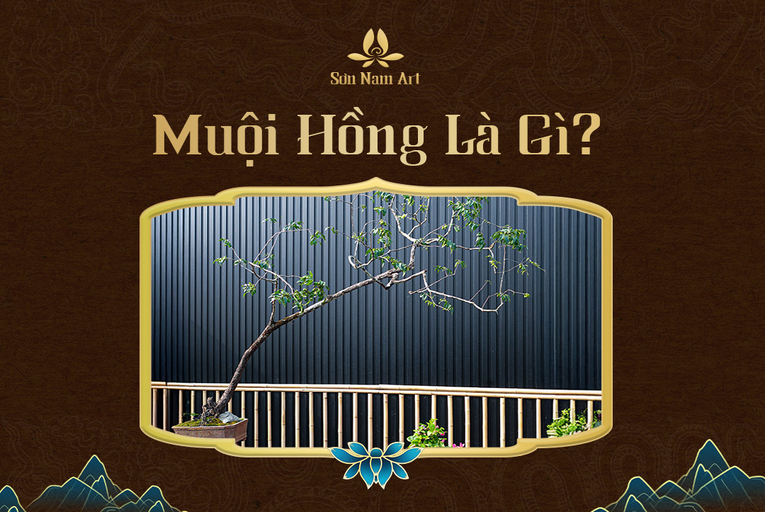 Muội hồng là gì?