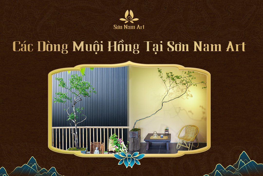 Các dòng muội hồng tại Sơn Nam Art