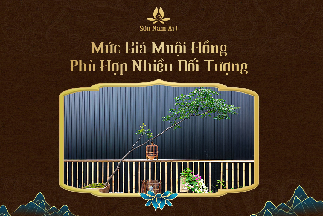Múc giá muội hồng phù hợp với nhiều đối tượng