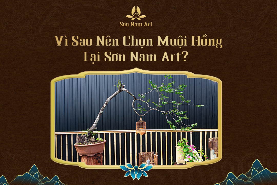 Vì sao nên chọn muội hồng tại Sơn Nam Art?