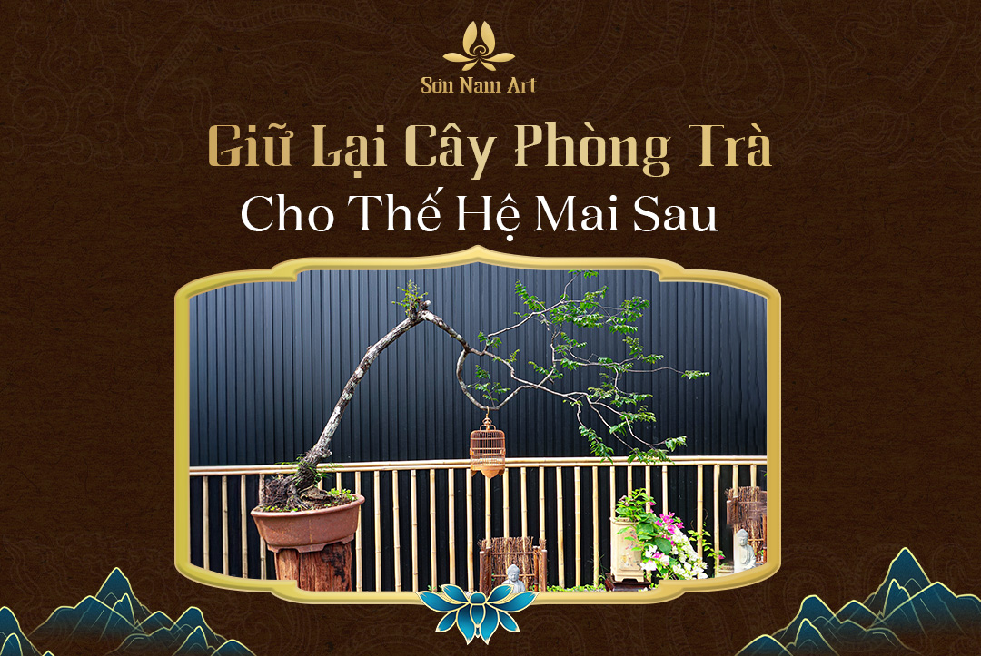 Giữ là cây phòng trà cho thế hệ mai sau