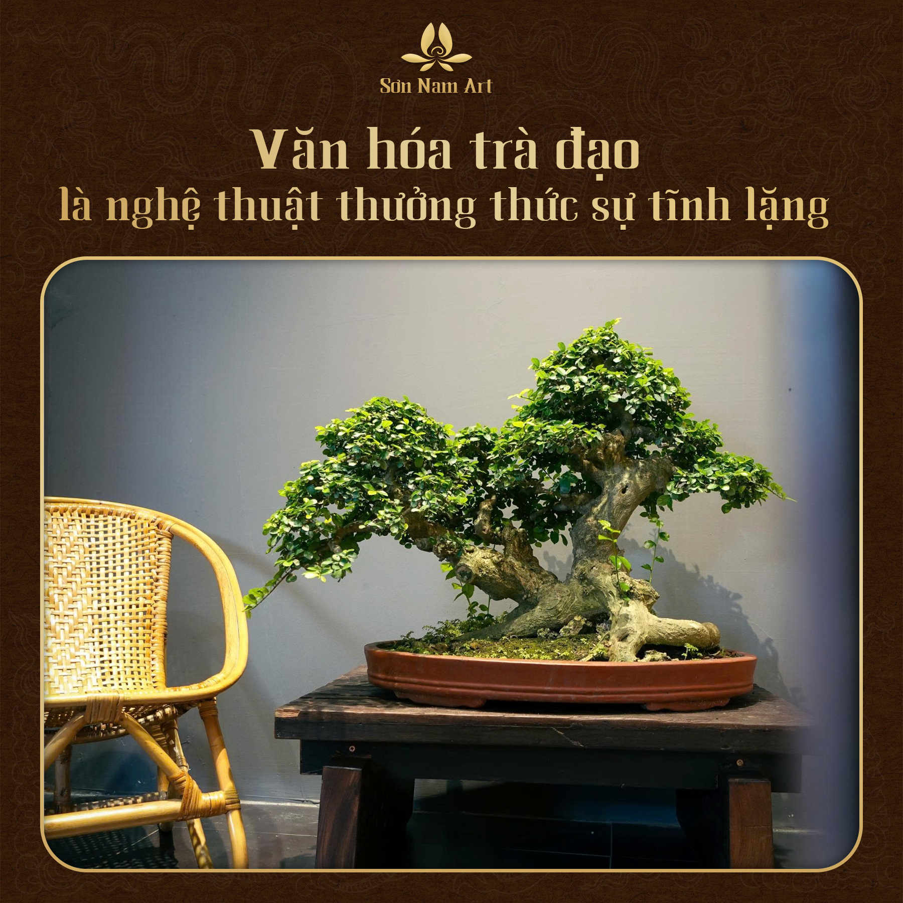 Văn hóa trà đạo là nghệ thuật thưởng thức sự tĩnh lặng
