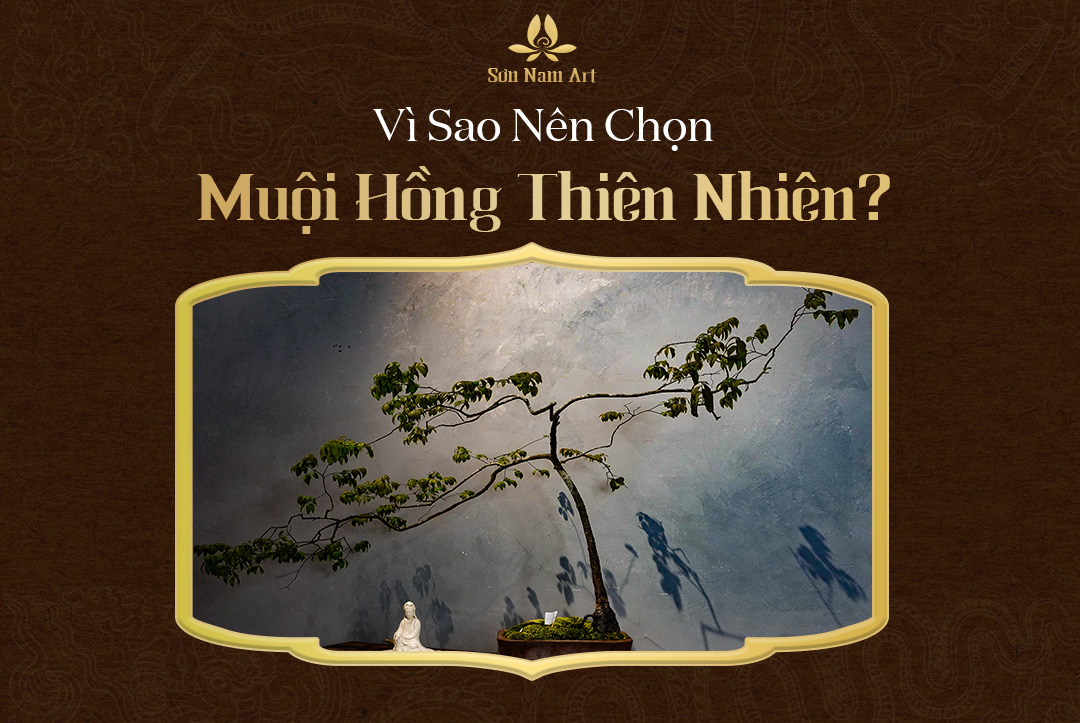 Vì sao nên chọn muội hồng thiên nhiên?
